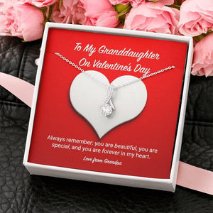 To My Granddaughter from Grandpa Valentine's Day Alluring Beauty Necklace